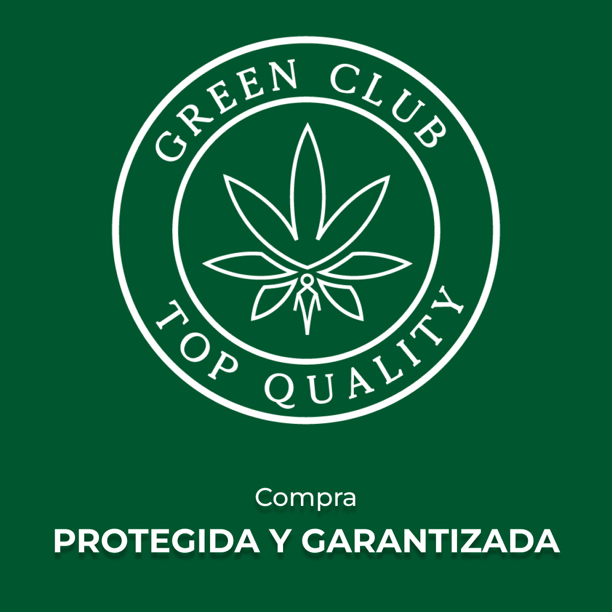 Raw Charola Bandeja Mediana Metal Mediana