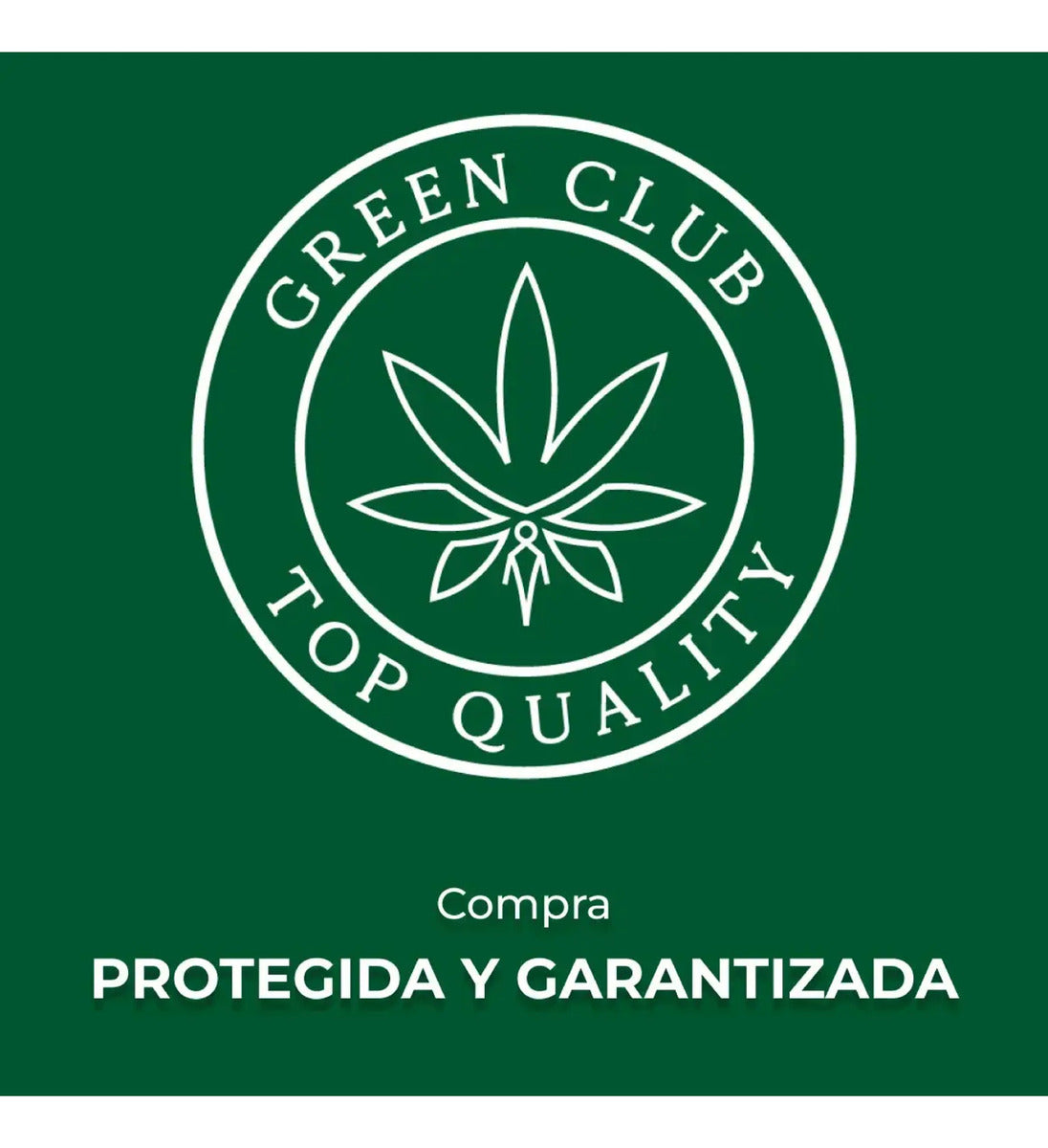 Raw Rolling Tray Cenicero Magnetico