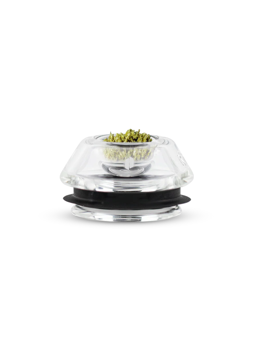 A clear glass container with a black lid, containing a small amount of green substance, is shown against a black background.