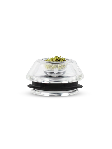 A clear glass container with a black lid, containing a small amount of green substance, is shown against a black background.